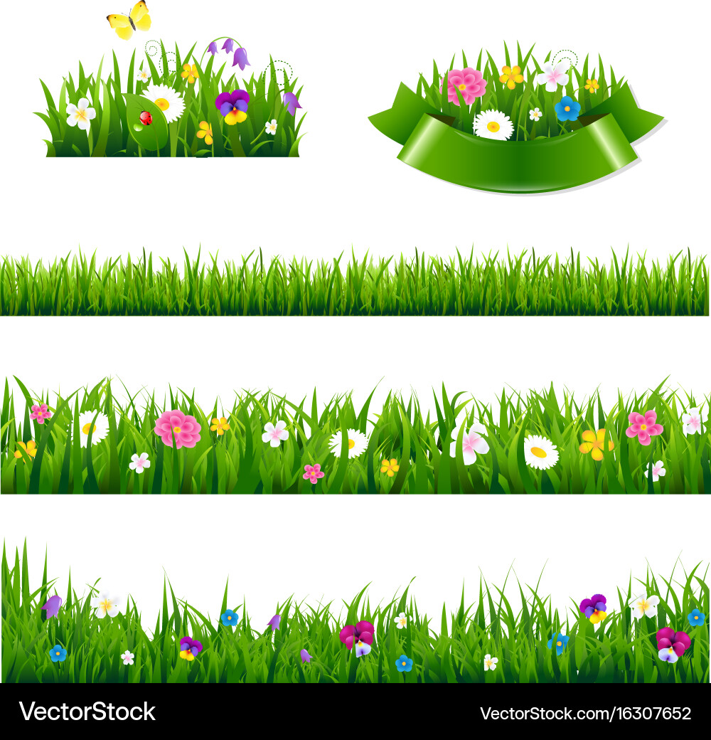 Floral Border Set - Variety of Flowers Vector Image