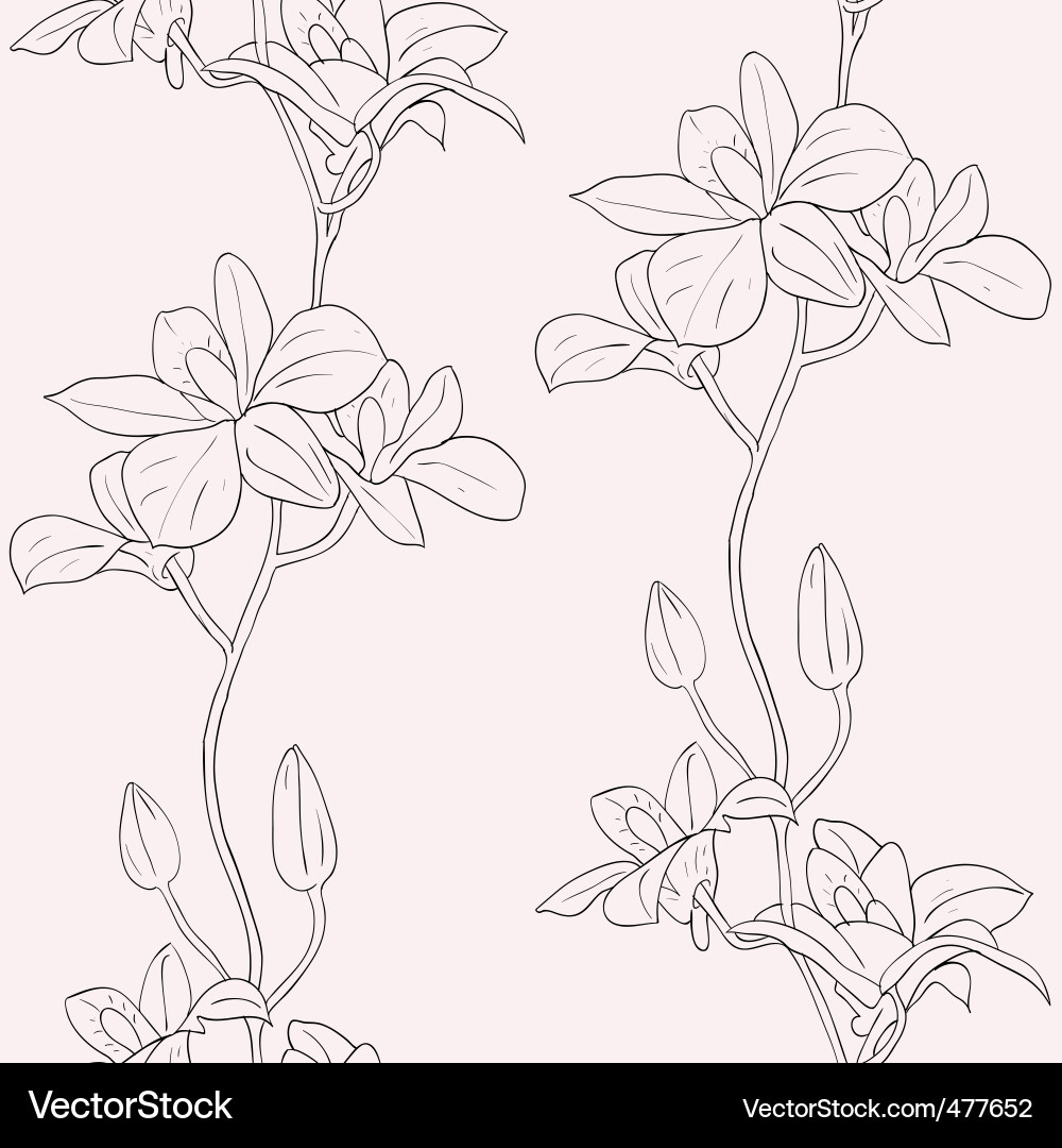 Orchid Seamless Floral Background vector image