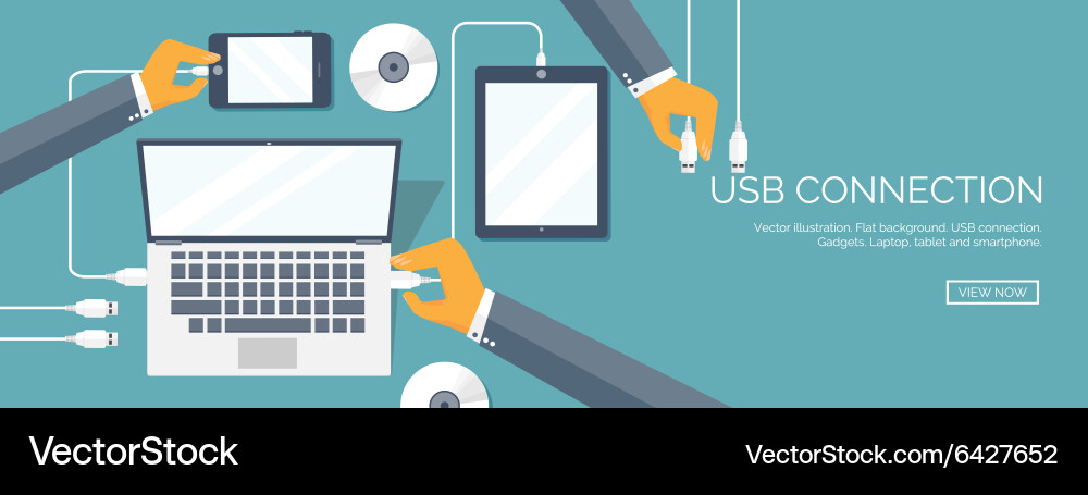 Usb connection computer Vector Image