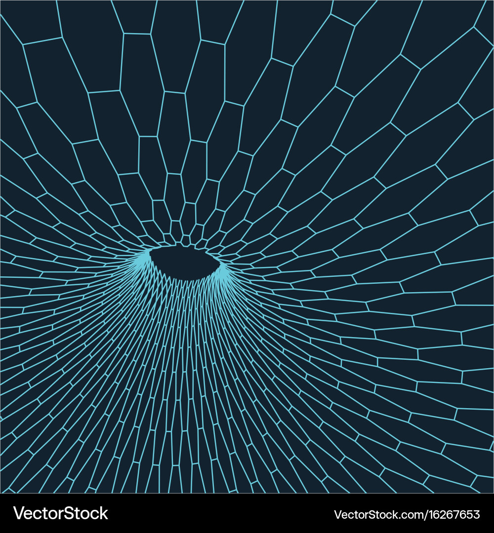 Wireframe torus with connected lines and dots vector image