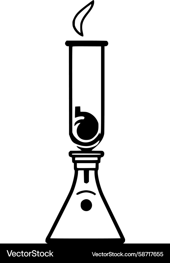 Erlenmeyer flask with bubbles Vector Image