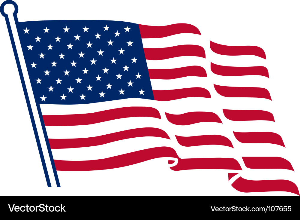 United States Flag vector image
