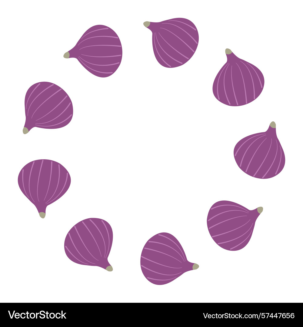 Fall elements frame with figs Vector Image