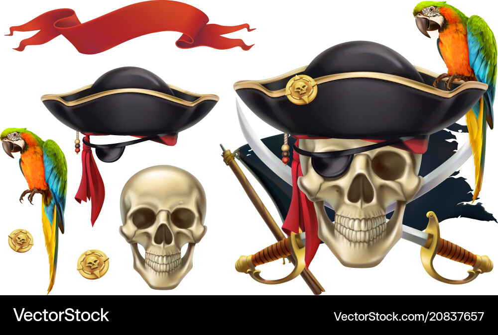 Skull and parrot pirate emblem 3d icon set vector image