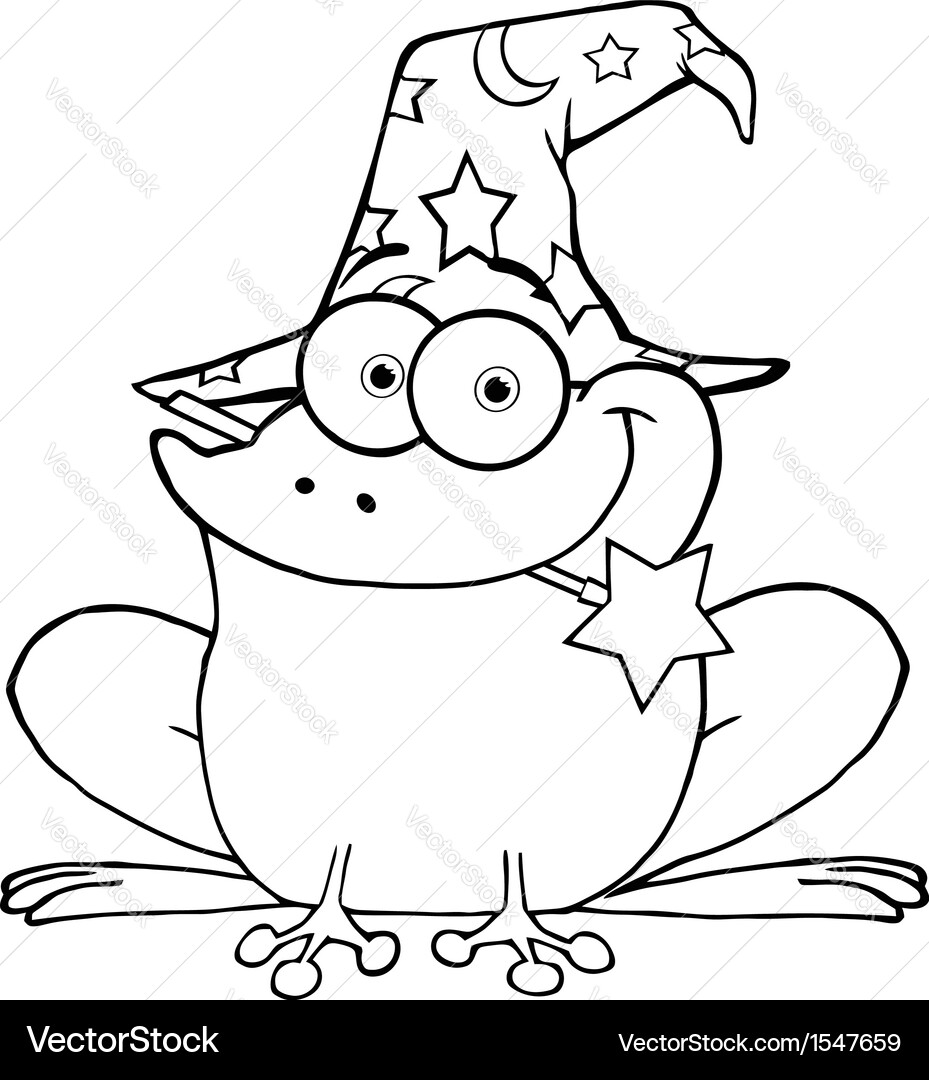 Enchanted Frog Wizard Vector Image
