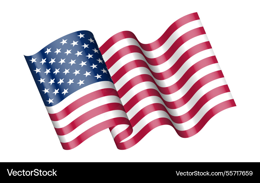 Usa wavy flag icon isolated Usa wavy flag icon isolated vector image