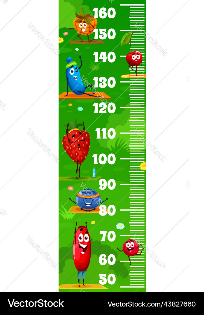 Kids height chart with berry characters on yoga Kids height chart with berry characters on yoga vector image