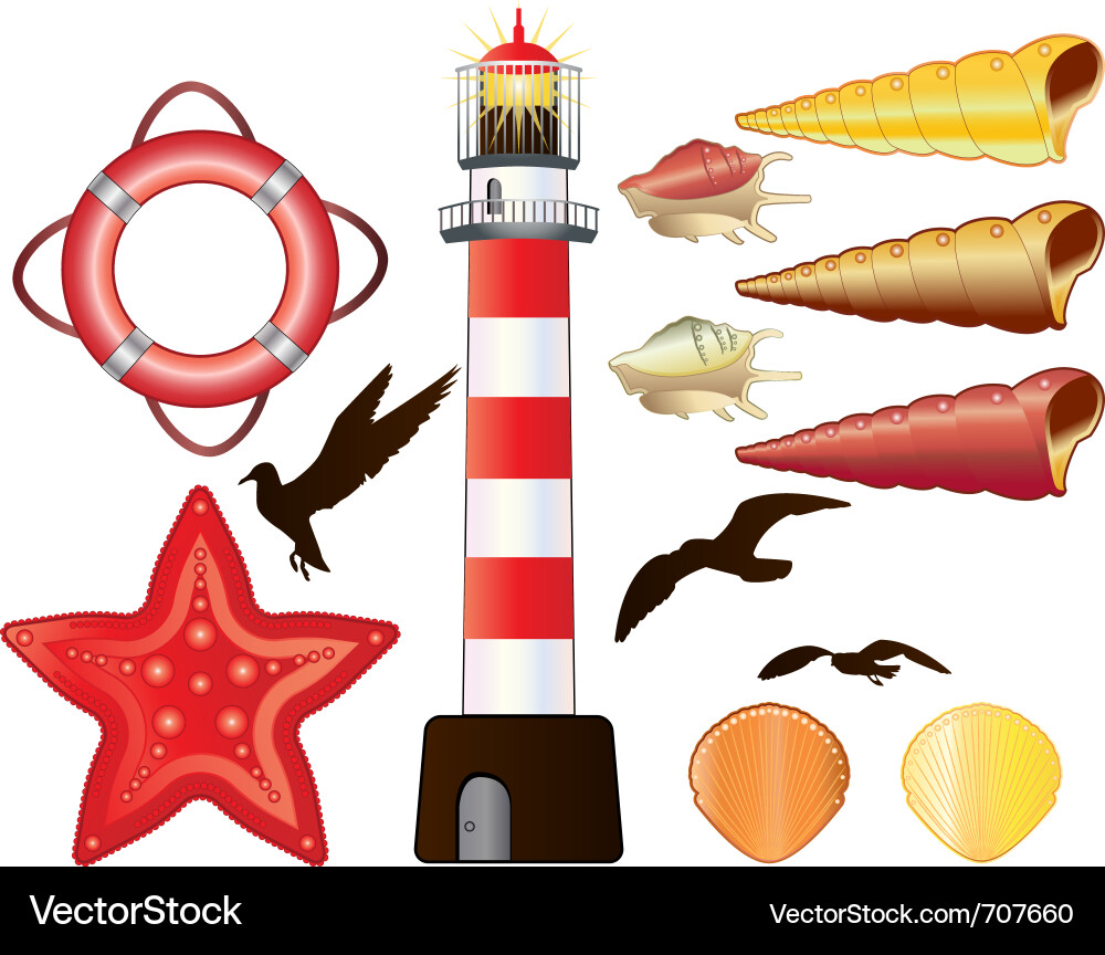 Lighthouse shells vector image