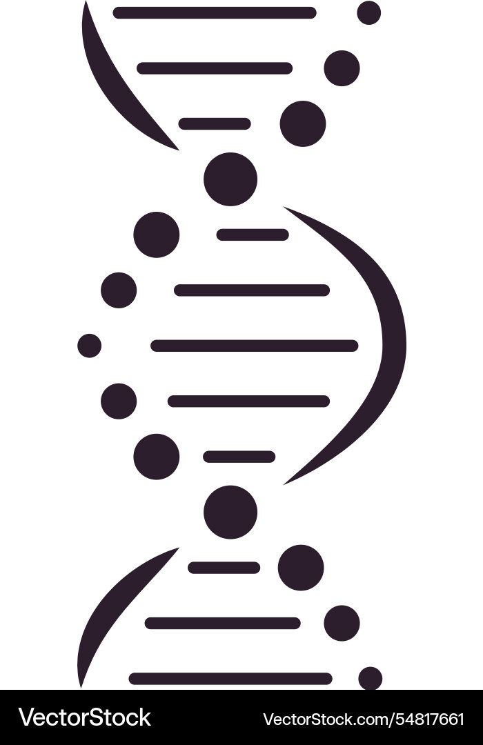 Dna molecule structure with lines and circles Dna molecule structure with lines and circles vector image