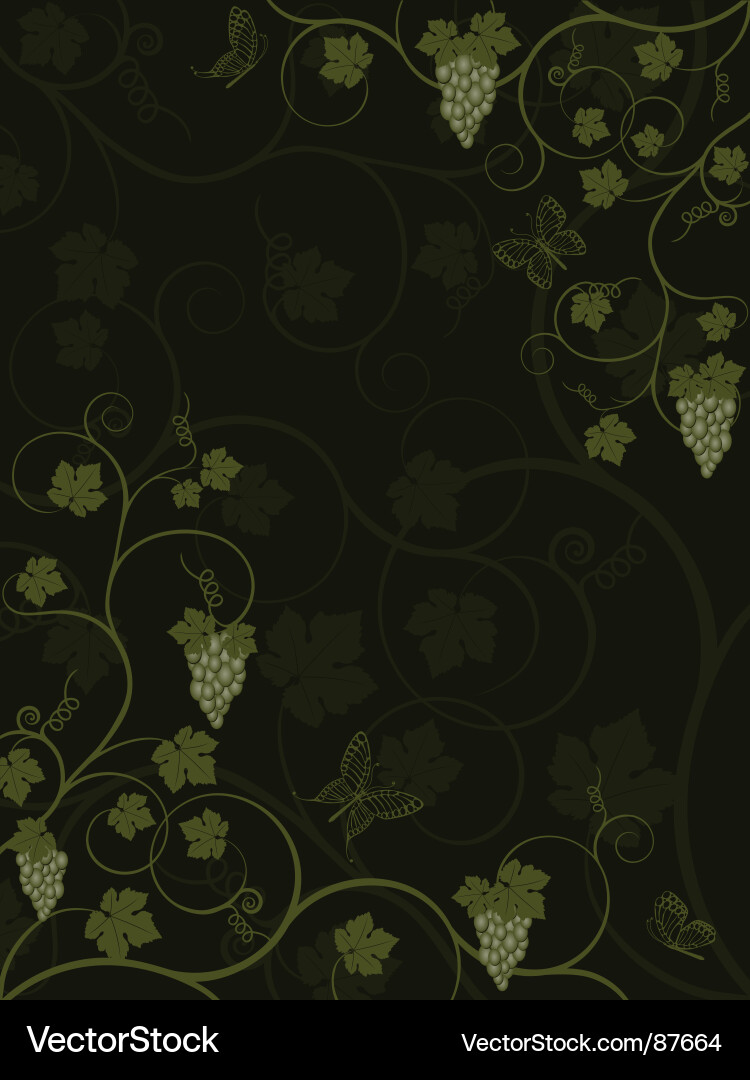 Grapevine Pattern Vector Image