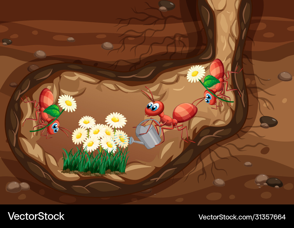 Underground scene with ants planting flowers vector image