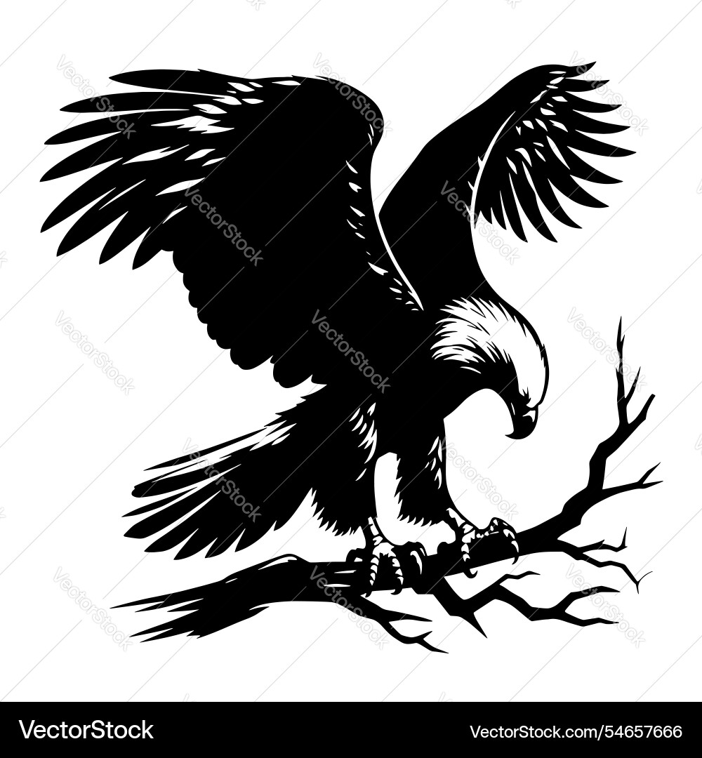 Black and white eagle Royalty Free Vector Image