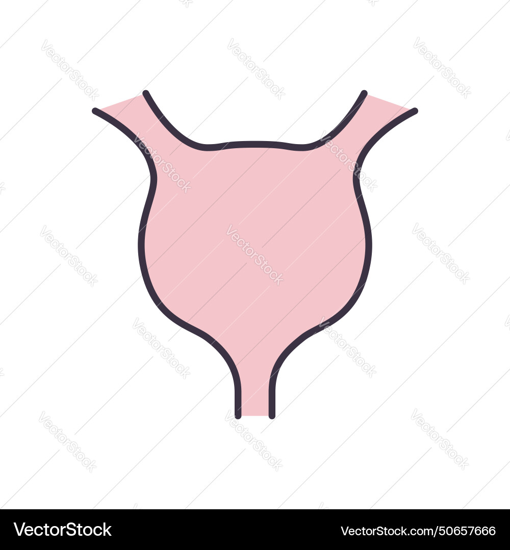 Bladder icons Royalty Free Vector Image - VectorStock
