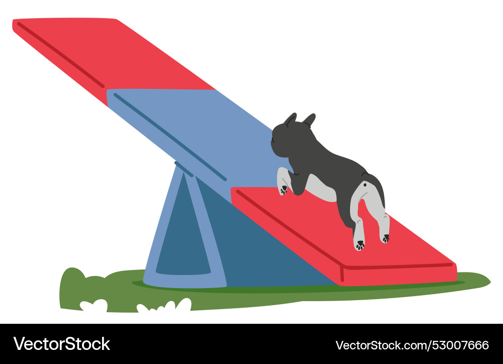 dog agility training near me
