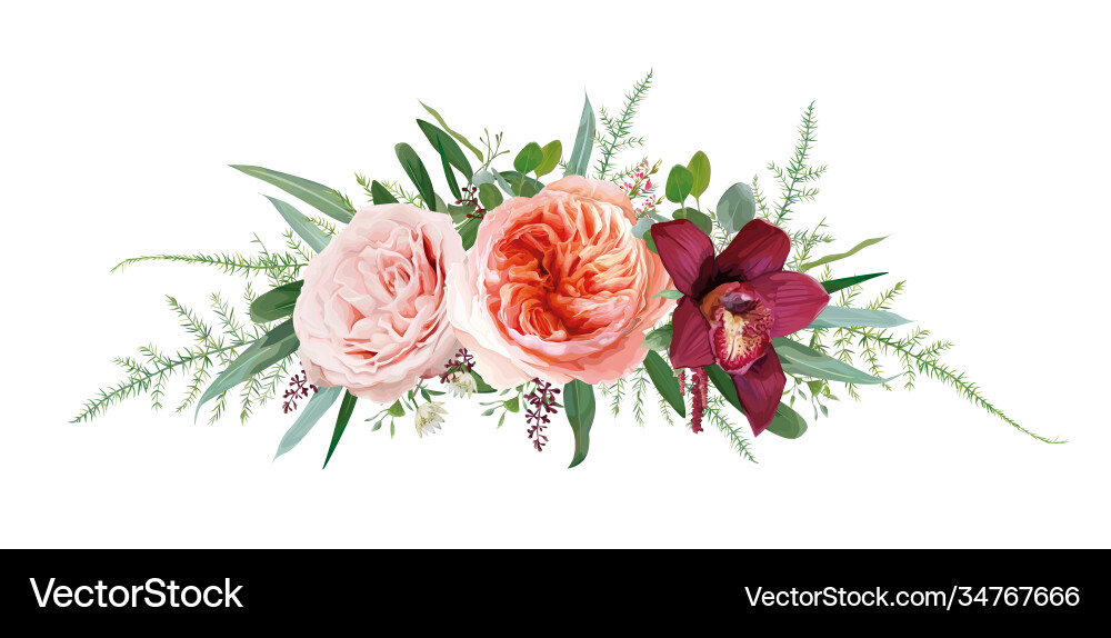 Floral bouquet blush peach rose flowers greenery vector image