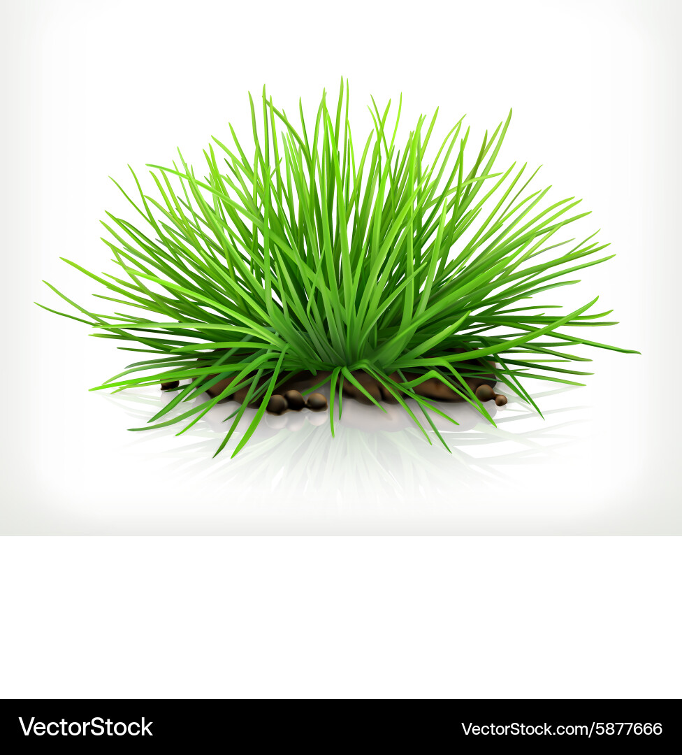 Fresh grass icon Royalty Free Vector Image - VectorStock