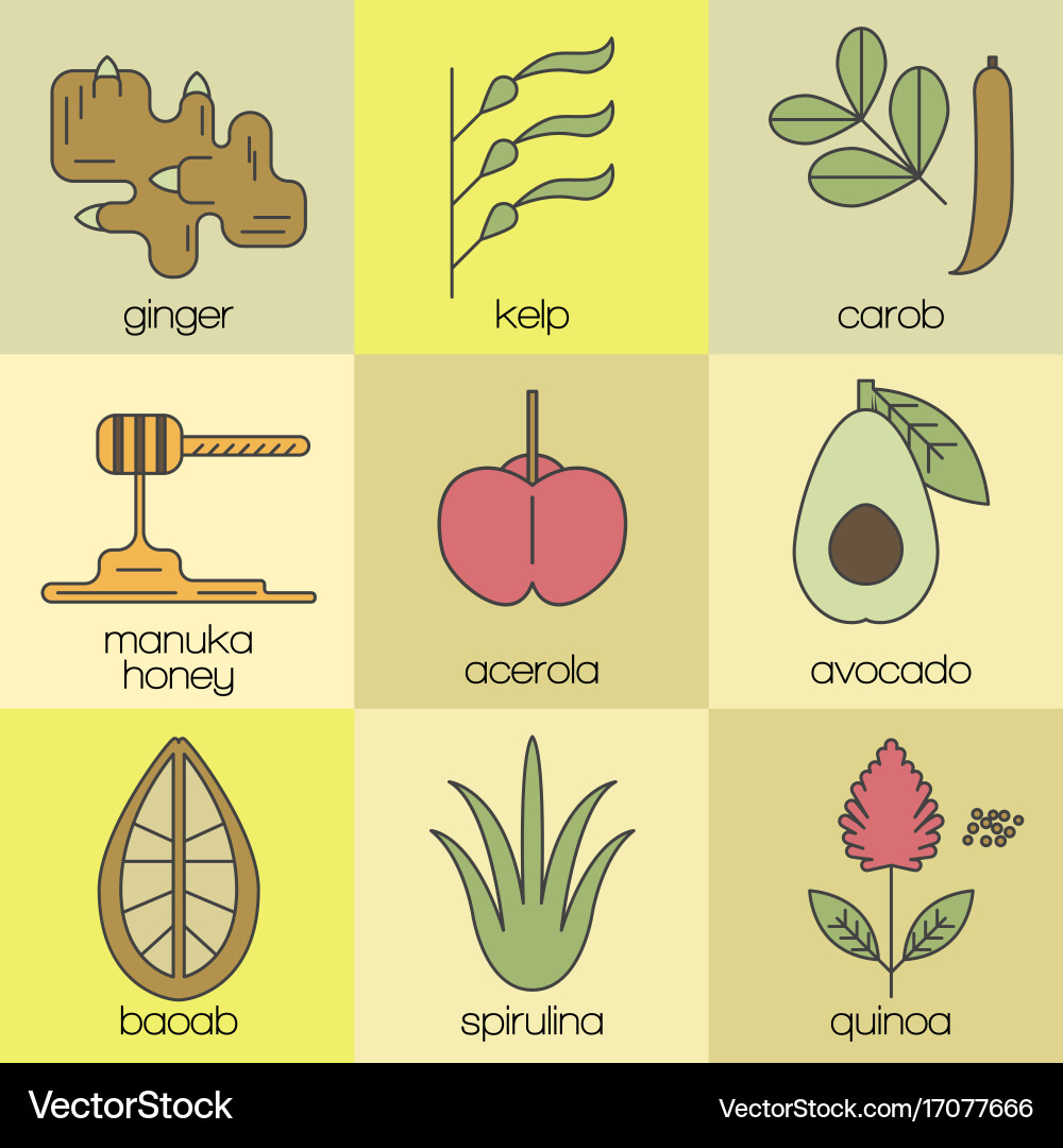 Superfood color line icons set background vector image