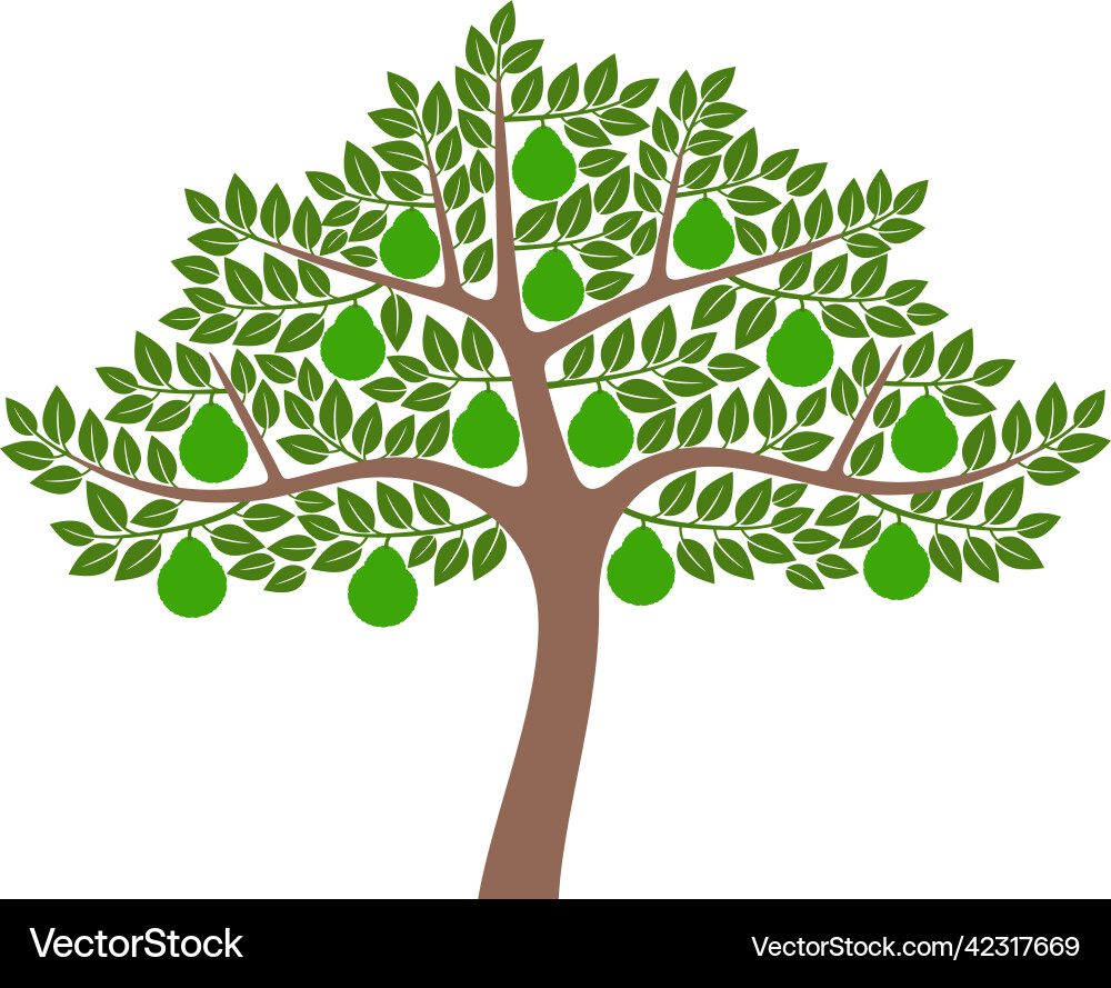 Bergamot tree Royalty Free Vector Image - VectorStock