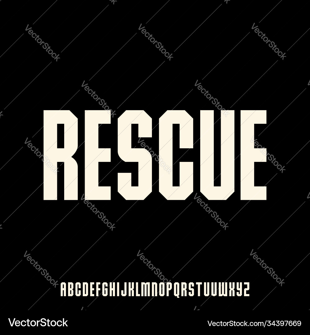 Elegant Font Collection Vector Image