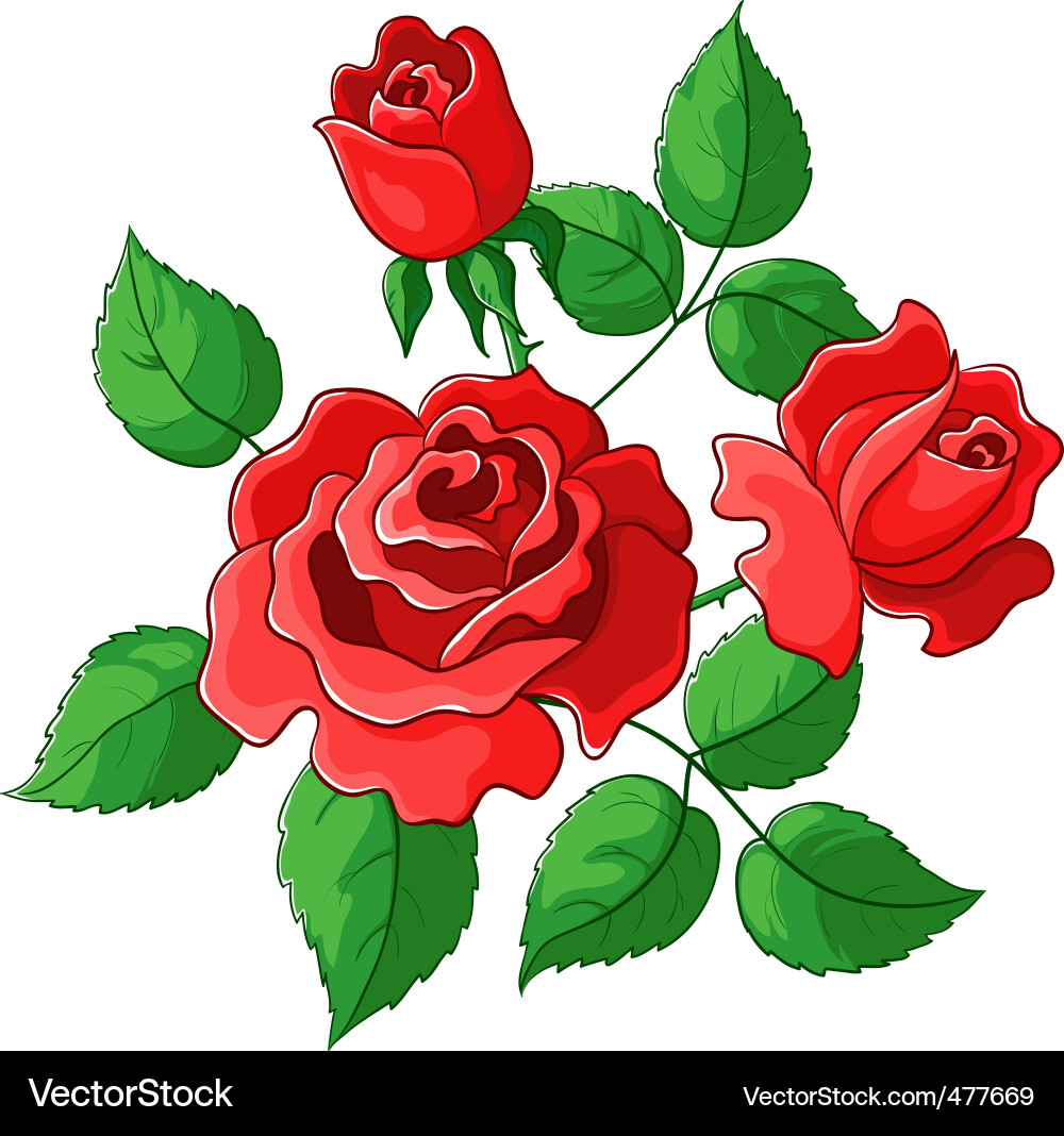 Red Rose Bouquet Vector Image