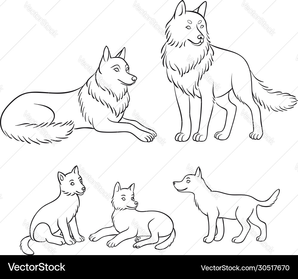 Wolves family - parents and three cubs Wolves family - parents and three cubs vector image