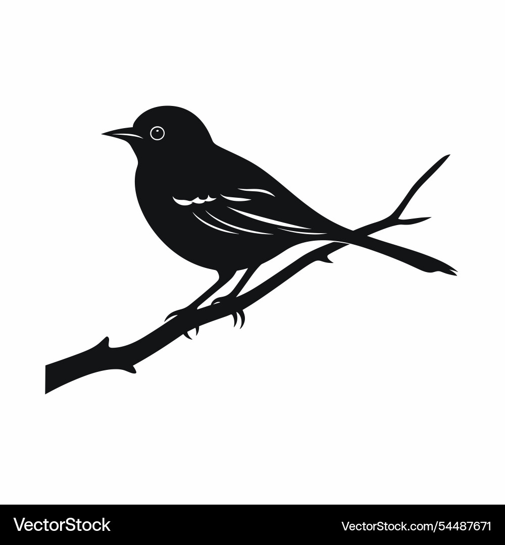 Bird sits on a branch with delicate features Vector Image