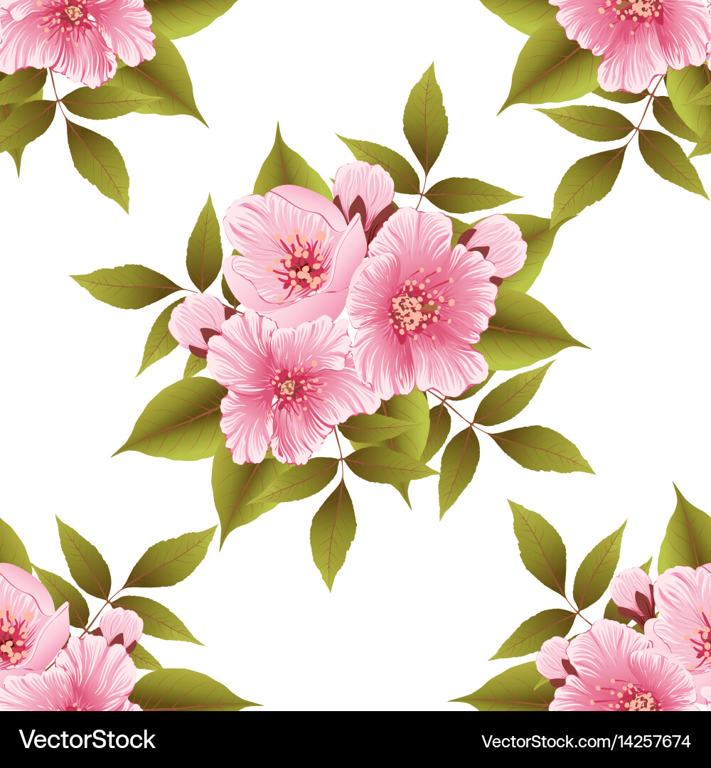 Sakura Blossom Seamless Pattern Vector Image