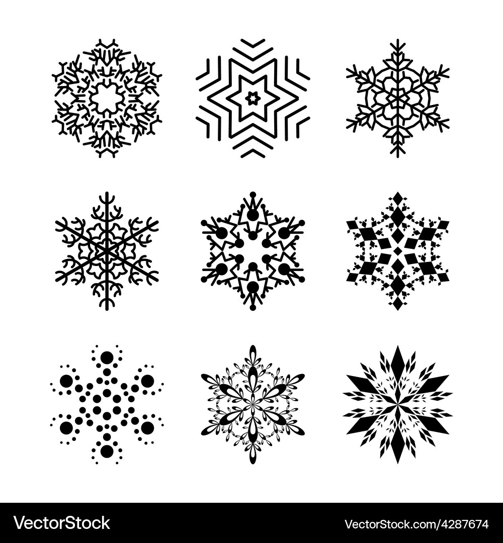 Winter Snowflake Collection Vector Image