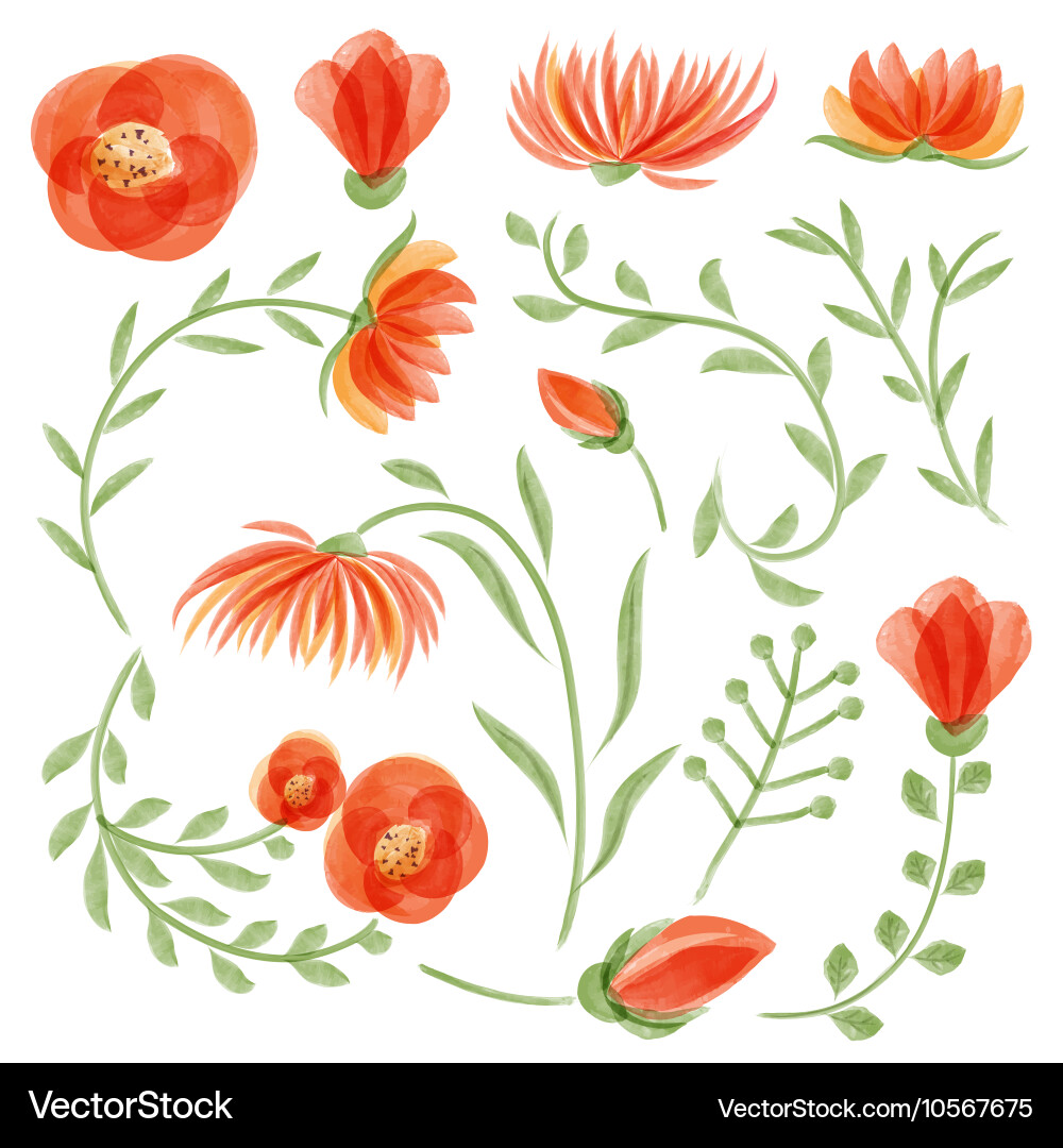 Watercolor Floral Collection Vector Image