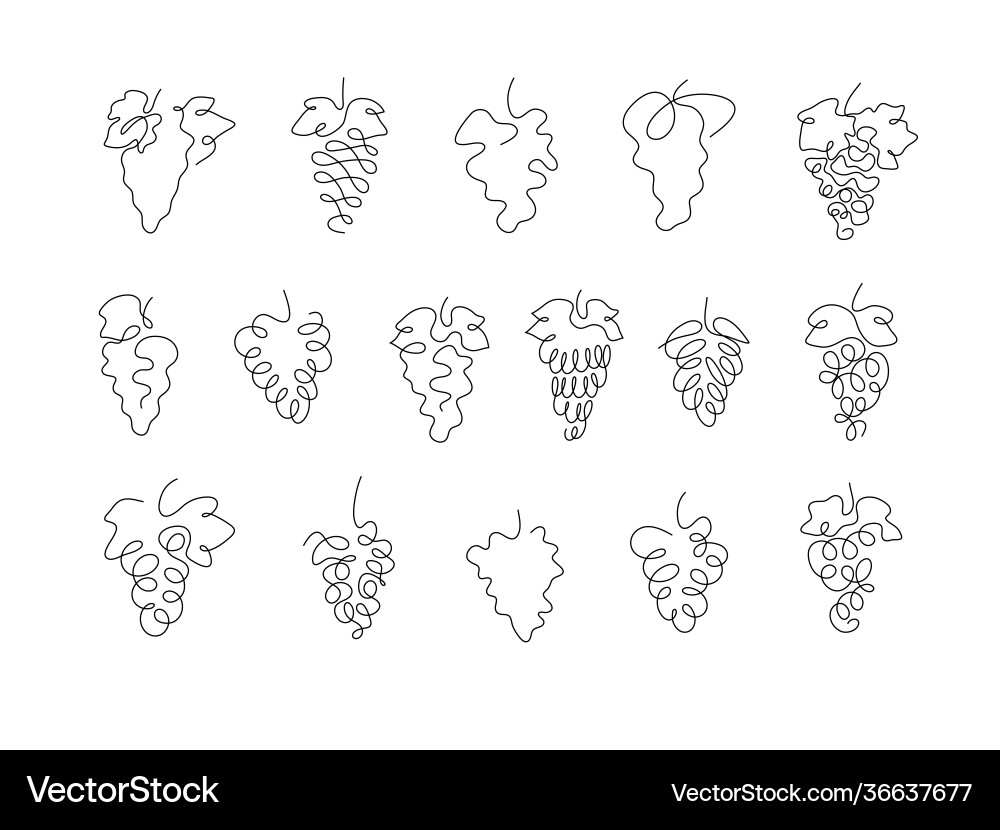 Sticker one line art style grapes abstract food vector image