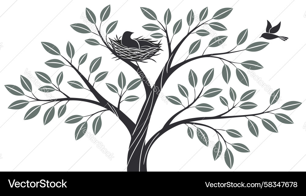 Leafy Tree with Bird Nest Vector Image
