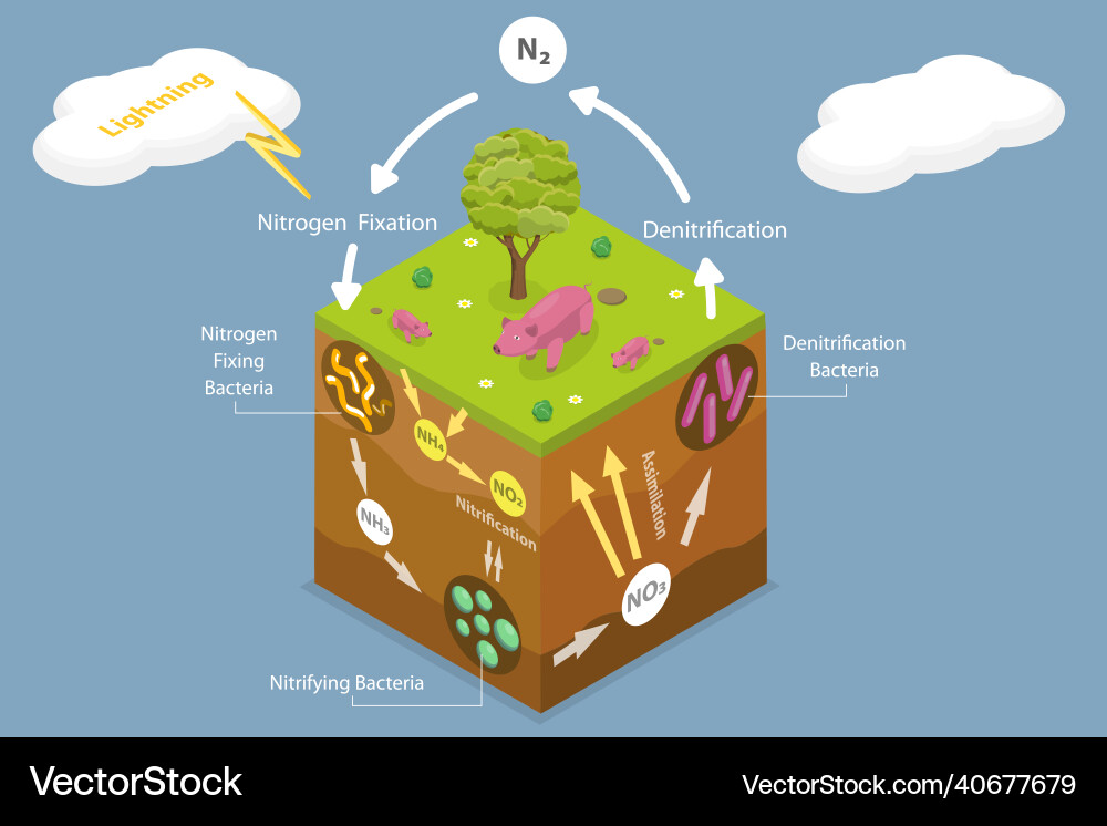 Ammonia Icon Vector Images (over 630)