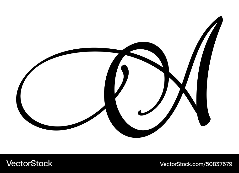 Hand drawn calligraphy letter a script Vector Image