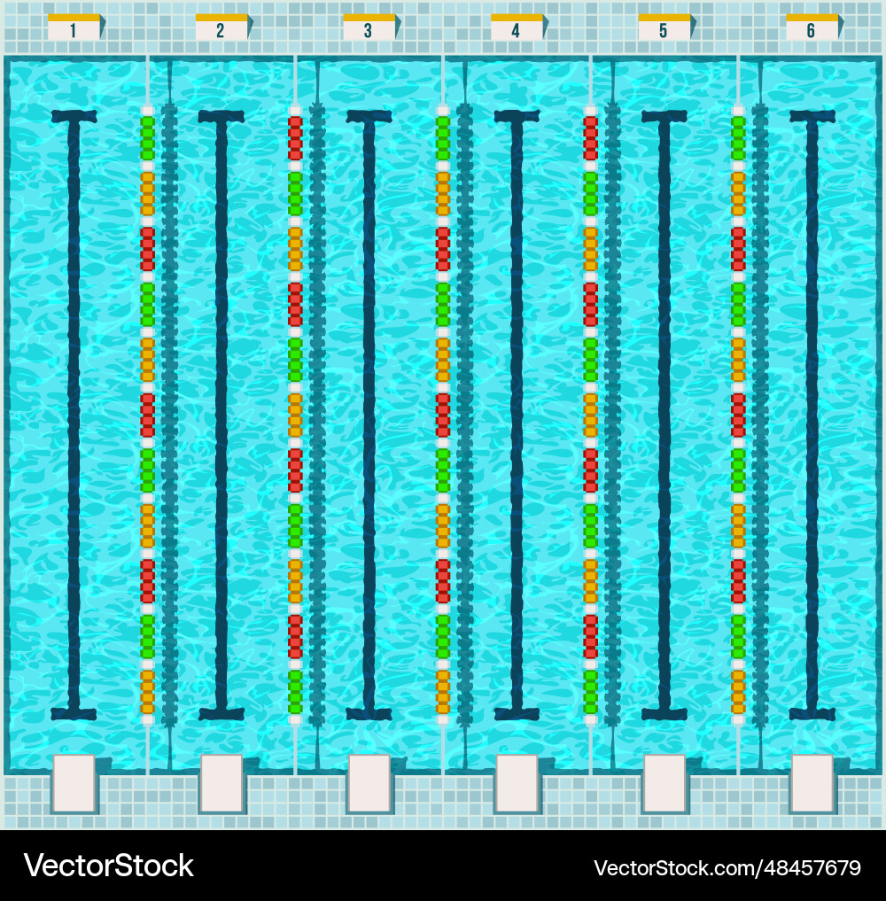 Pool swim lanes top view empty water surface Pool swim lanes top view empty water surface vector image