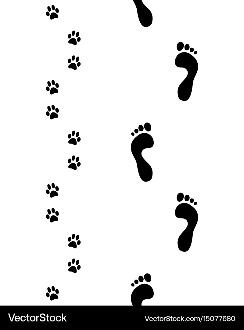 Dog Paw Prints Wallpaper vector image