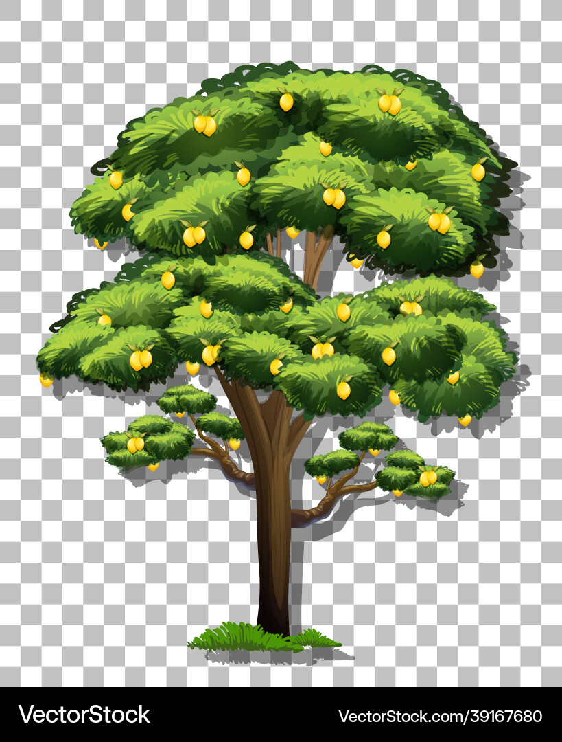 Lemon tree on transparent background Lemon tree on transparent background Vector Image