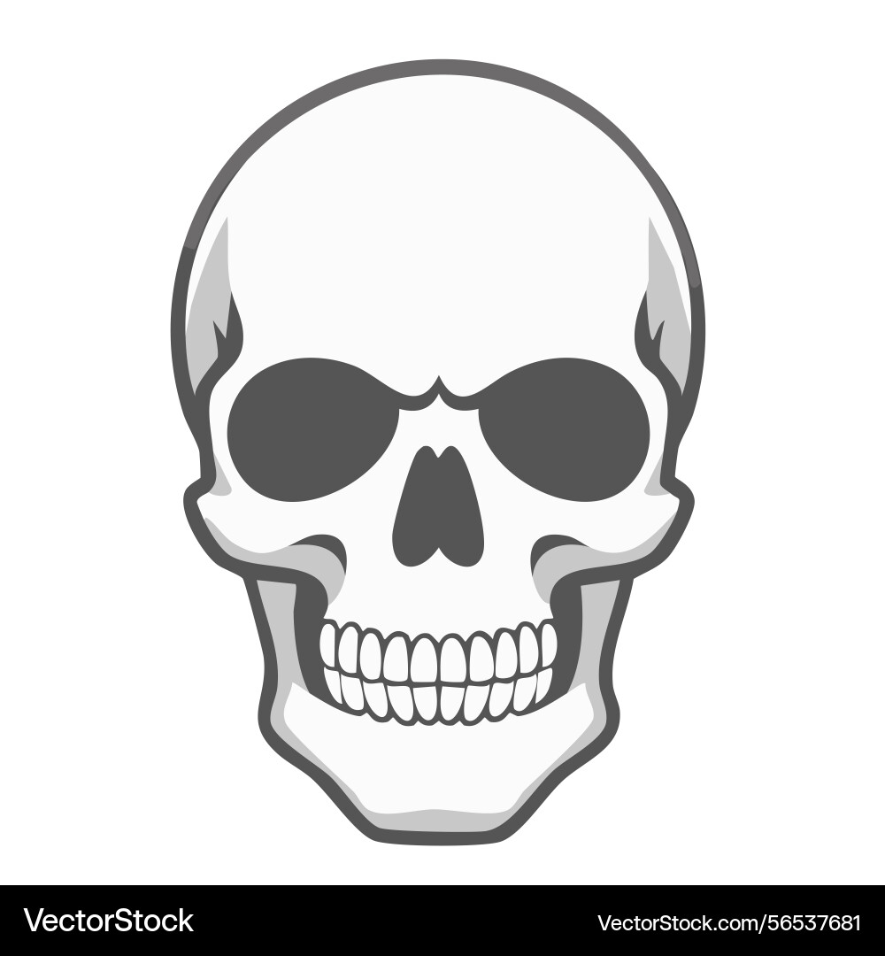 Human skull cartoon silhouette Human skull cartoon silhouette Vector Image