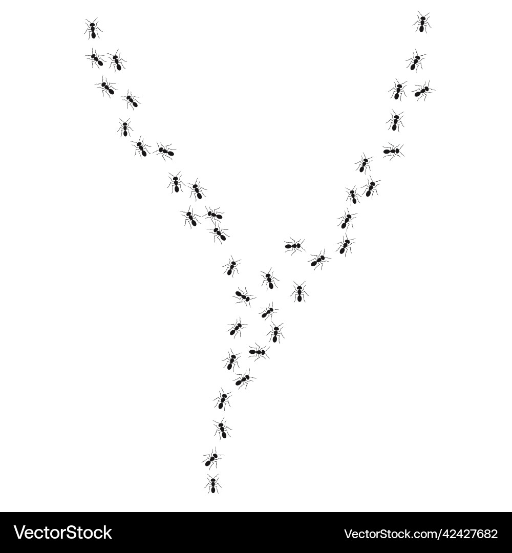 A path of ants running two ways view from above A path of ants running two ways view from above vector image