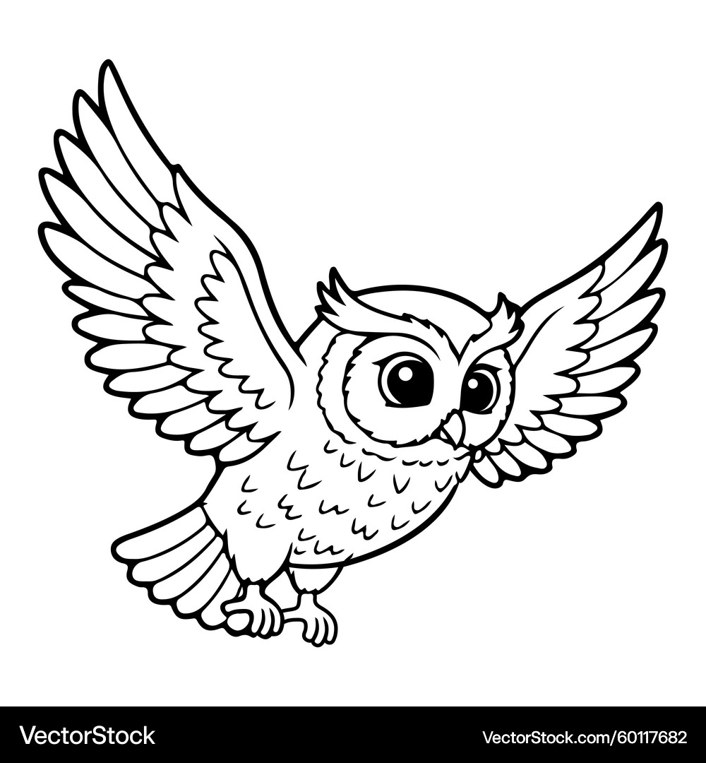 Cute Cartoon Flying Owl Coloring Page – Royalty-Free Vector | VectorStock, image size:1000x1080