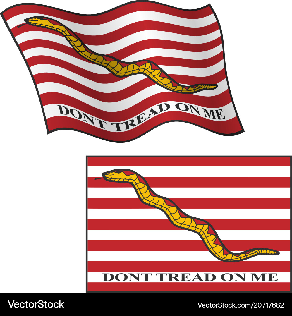 Dont Tread On Me Flag Royalty Free Vector Image