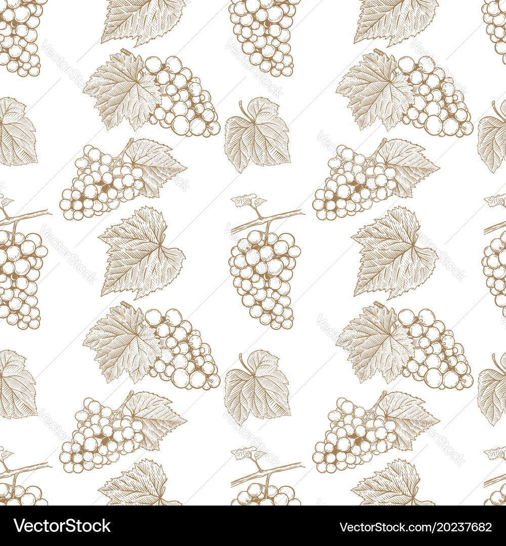Seamless pattern with hand drawn grape design vector image