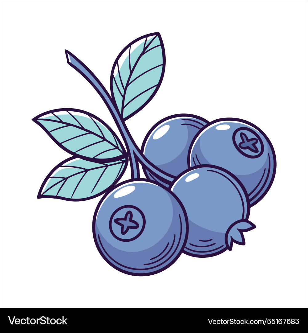 Blaubeer Frucht Kunst Blaubeer Frucht Kunst vektorbild