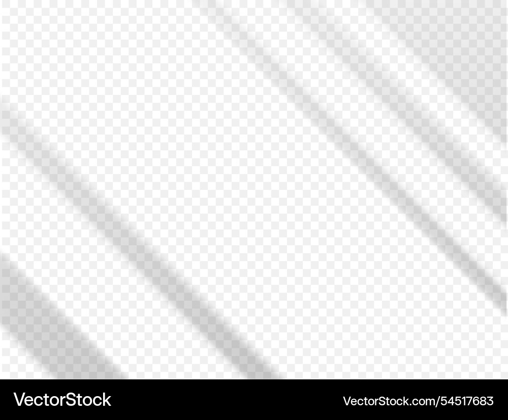 Diagonal thin shadows on a transparent background Diagonal thin shadows on a transparent background vector image