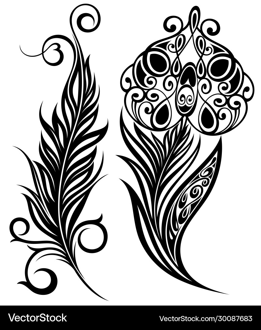 Feathers Royalty Free Vector Image - VectorStock