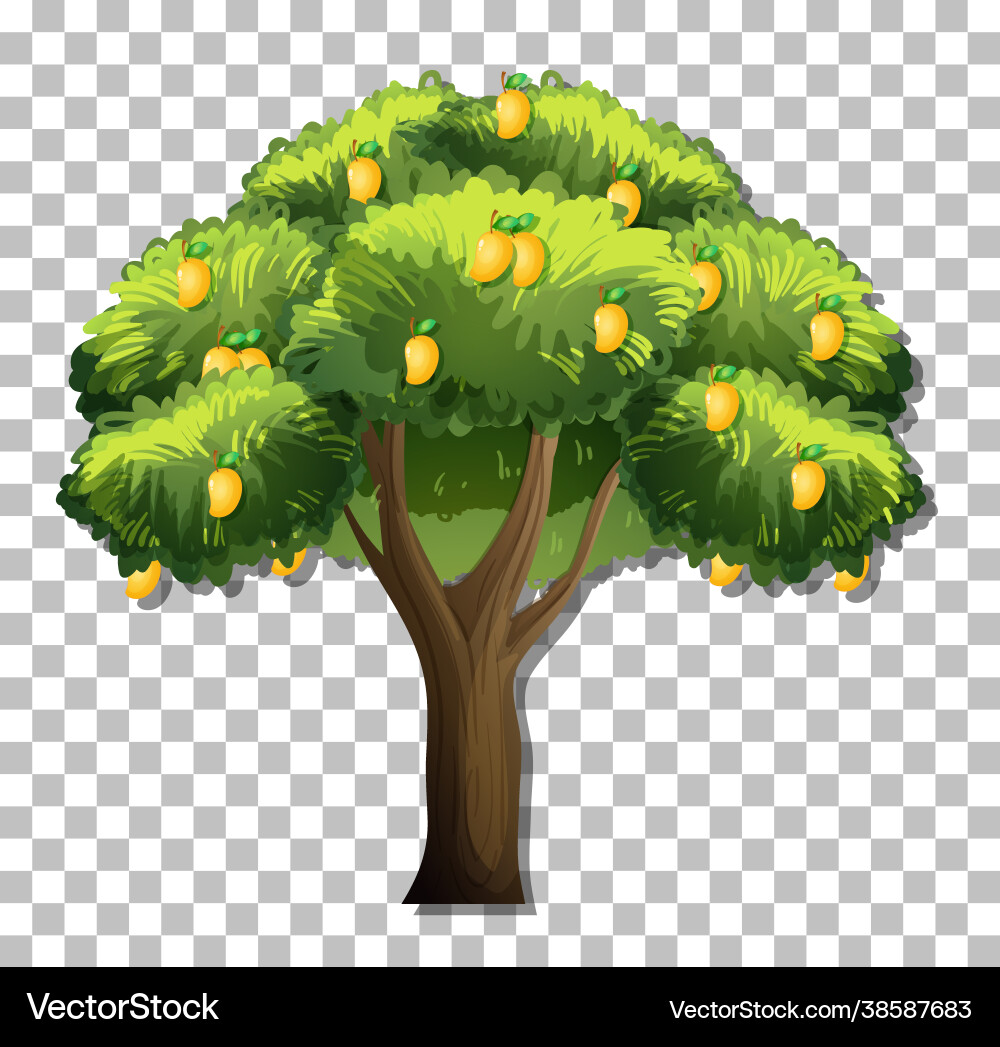 Mango tree on transparent background Mango tree on transparent background vector image