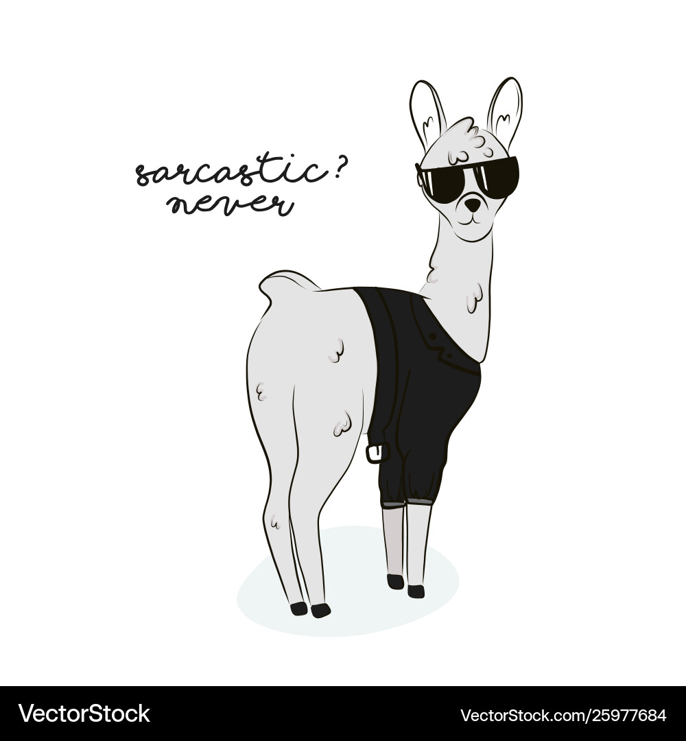 Sarcastic llama modern alpaca in sunglesses Sarcastic llama modern alpaca in sunglesses vector image