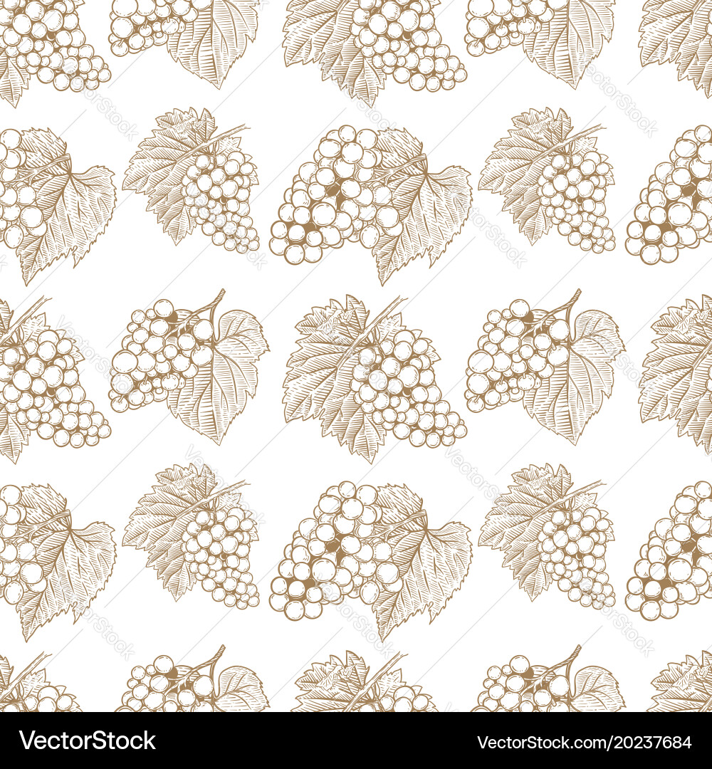 Seamless pattern with hand drawn grape design vector image