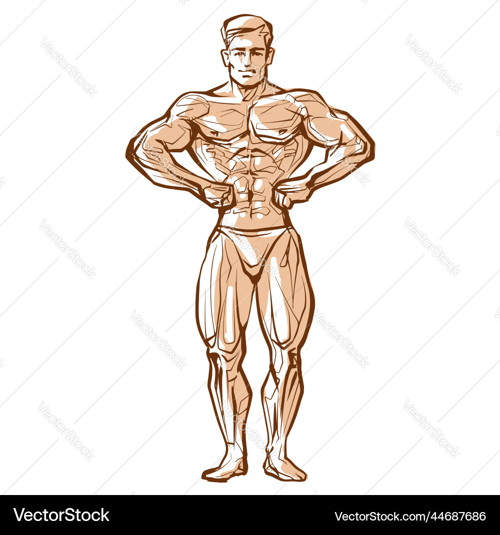 Fitness Männer posieren muskulären Mann steht reißig Fitness Männer posieren muskulären Mann steht reißig vektorbild