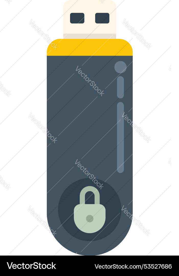Usb flash drive showing secure data encryption Usb flash drive showing secure data encryption vector image