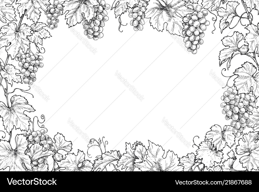 Grape Branch Frame - Monochrome Vector Image